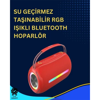 USB/SD/AUX Girişli Hoparlör – 10 W × 2 Çift Sürücü