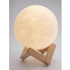 AY IŞIKLI GECE LAMBASI