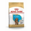 Cocker Spaniel Puppy Yavru Köpek Maması 3 Kg