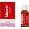 MİYOLİFE MUSELE DAMLA