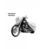 MOTOR BRANDASI