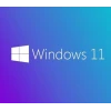 MS WINDOWS 11 PRO 64 BIT INGILIZCE OEM FQC-10528