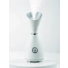 Nano İyonik Yüz Buhar Makinesi