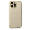 Newface Apple iPhone 13 Pro Kılıf Coco Deri Silikon Kapak - Gold