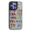 Newface Apple iPhone 15 Pro Max Kılıf Mirror Desenli Kapak - Mirror - 10