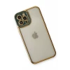 Newface Apple iPhone 12 Pro Max Kılıf Liva Lens Silikon - Yeşil