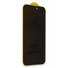 Newface Apple iPhone 17 Pro Bilvis 5D Privacy Diamond Hayalet Cam Ekran Koruyucu