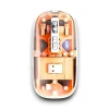 PG-9010 MOUSE FARE