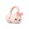 WBK861 PEMBE