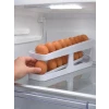 YUMURTA DÜZENLEYİCİ