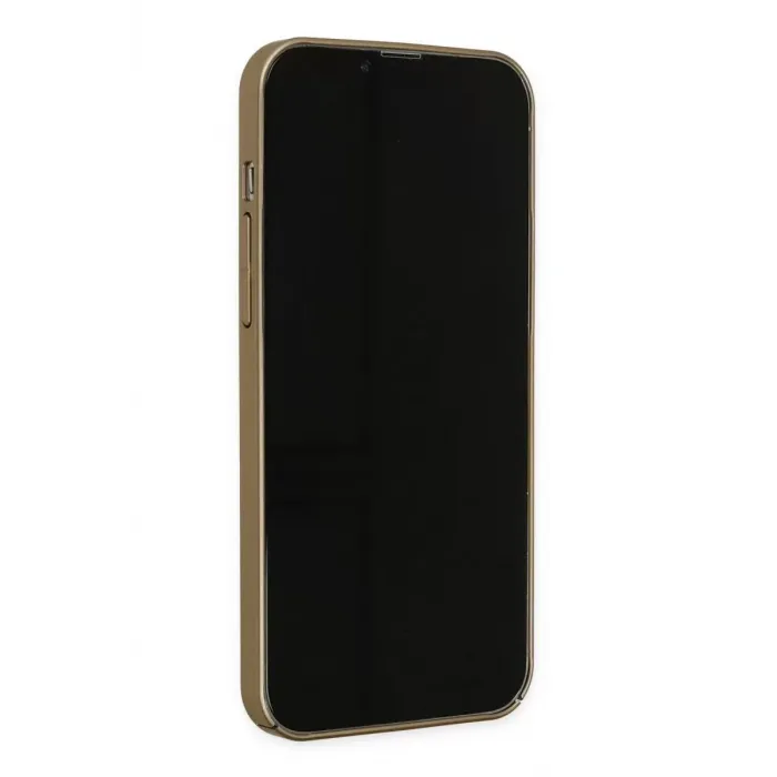 Newface Apple iPhone 13 Pro Kılıf Jack Magneticsafe Lens Silikon - Gold