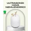 ABS+PP Malzemeli Taşınabilir 220 ml USB Mist Nemlendirici