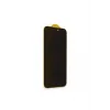 Newface iPhone 16 Pro Max Bilvis 3D Hayalet Cam Ekran Koruyucu
