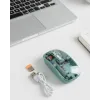 Pilli Kablosuz Mouse Bluetooth ve USB Uyumlu Sessiz Tıklama