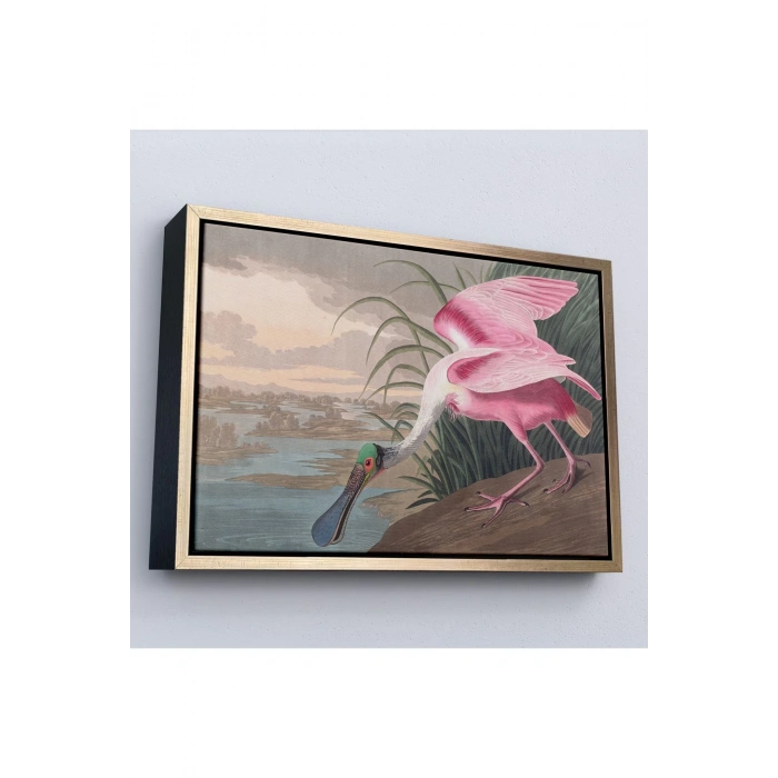 Ahşap Çerçeveli John James Audubon - Pembe Kaşıkçı Kuşu Tablo-7120