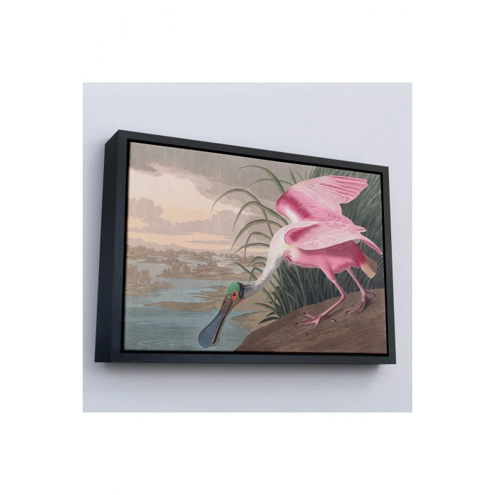 Ahşap Çerçeveli John James Audubon - Pembe Kaşıkçı Kuşu Tablo-7120