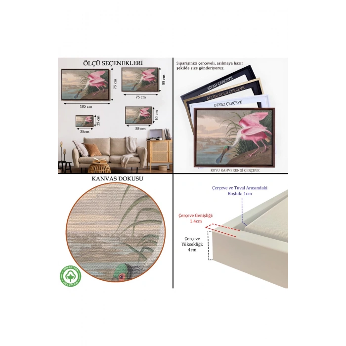 Ahşap Çerçeveli John James Audubon - Pembe Kaşıkçı Kuşu Tablo-7120