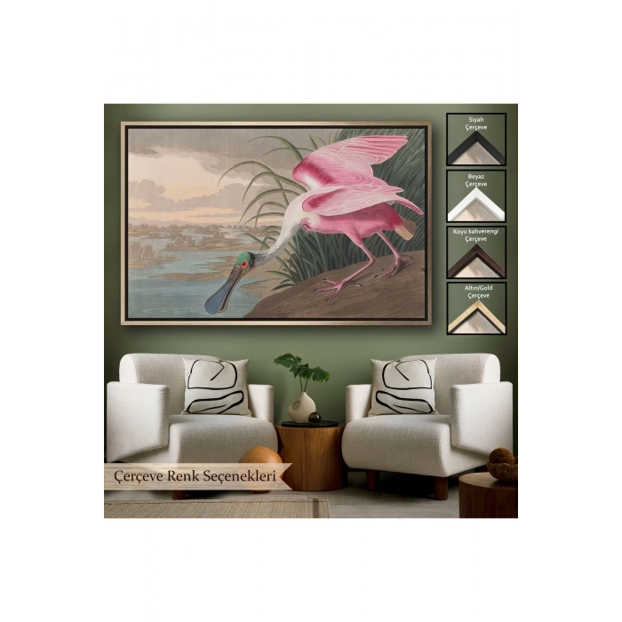 Ahşap Çerçeveli John James Audubon - Pembe Kaşıkçı Kuşu Tablo-7120