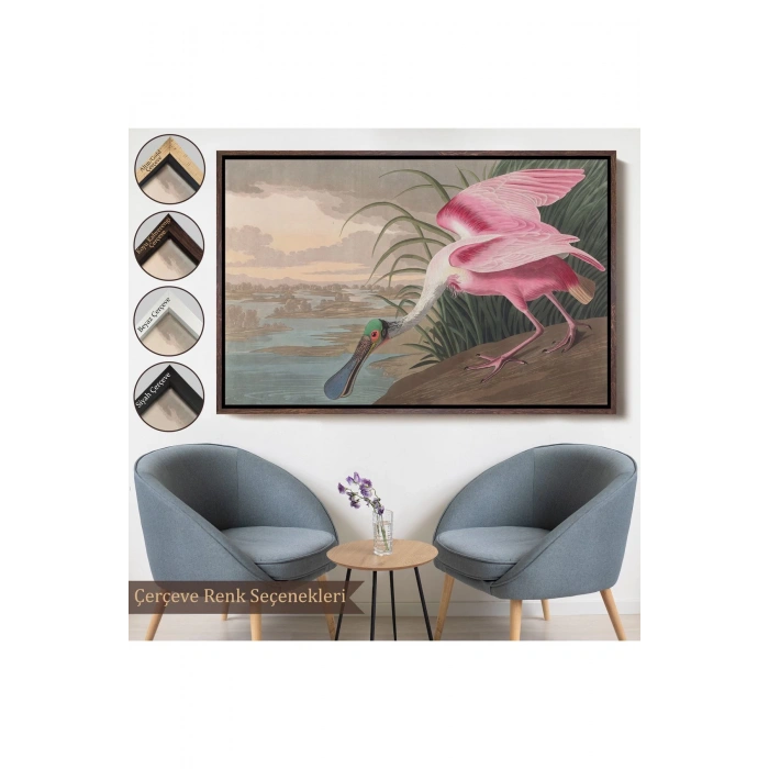 Ahşap Çerçeveli John James Audubon - Pembe Kaşıkçı Kuşu Tablo-7120