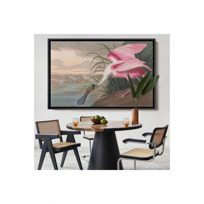 Ahşap Çerçeveli John James Audubon - Pembe Kaşıkçı Kuşu Tablo-7120