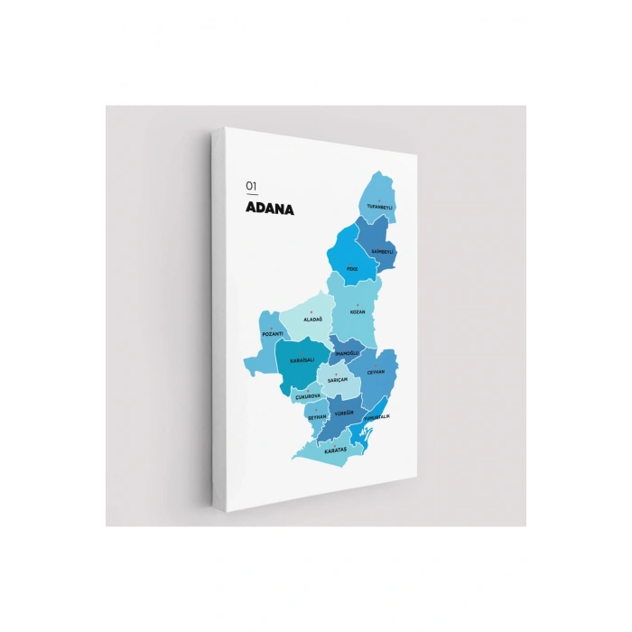 Adana İli ve İlçeler Haritası  Dekoratif Kanvas Tablo 1247