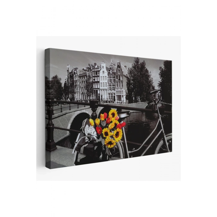 Amsterdam Kanallarındaki Bisiklet ve Laleler Tablosu-6594