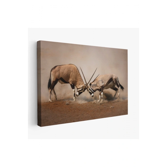 Antilob Dekoratif Kanvas Tablo-1117