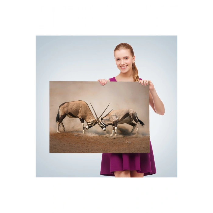 Antilob Dekoratif Kanvas Tablo-1117