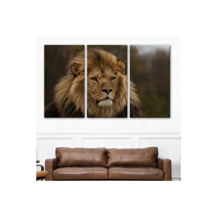Aslan Dekoratif Kanvas Tablo 1159