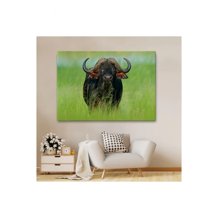 Asya Mandası Duvar Tablosu-6511