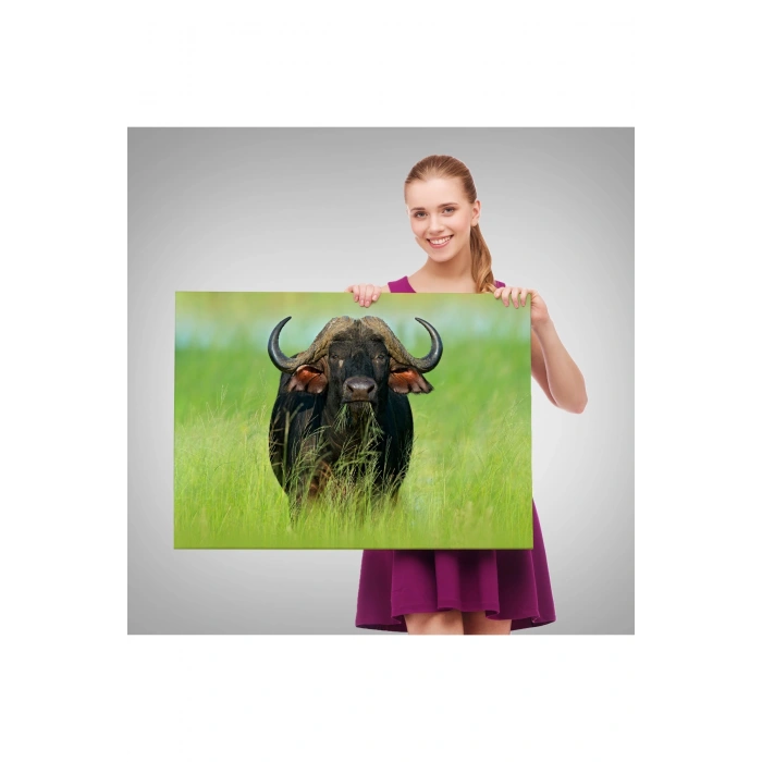 Asya Mandası Duvar Tablosu-6511