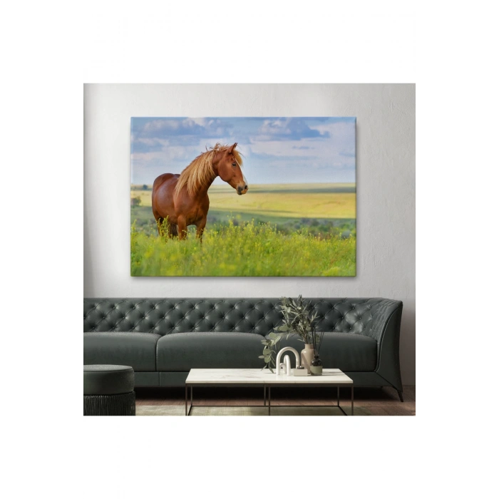 At Ve Manzaralı  Dekoratif Kanvas Tablo 1131