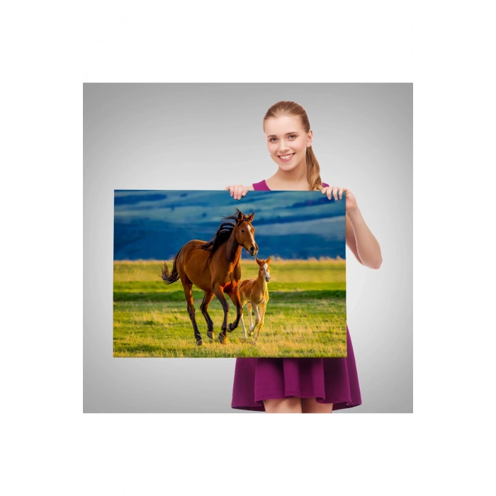 At ve Tay Manzaralı Dekoratif Kanvas Tablo 1173