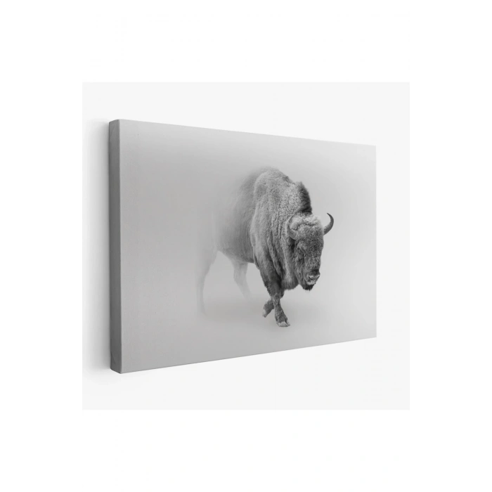 Bizon  Dekoratif Kanvas Tablo 1160