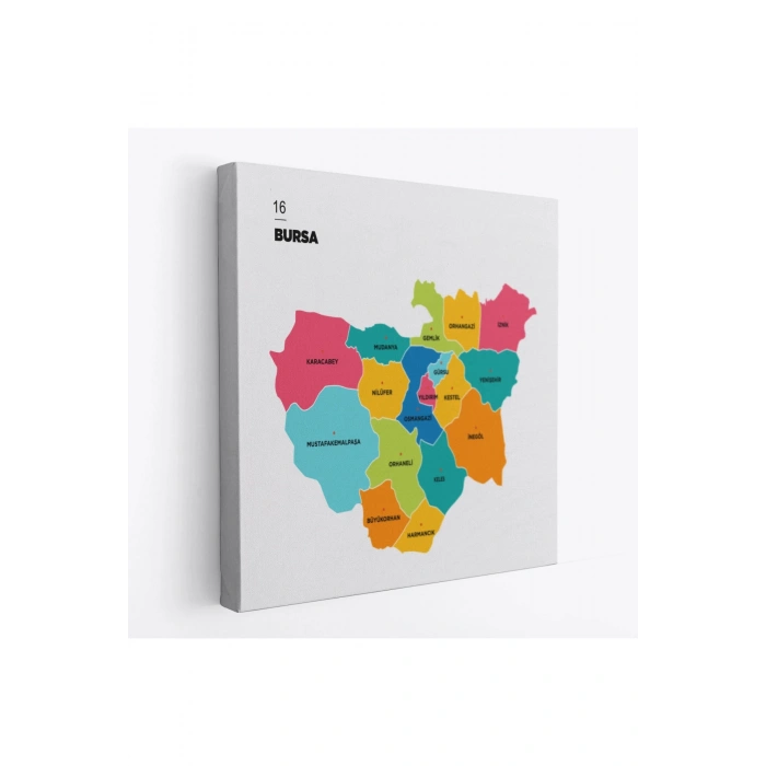 Bursa  İli ve İlçeler Haritası  Dekoratif Kanvas Tablo 1306