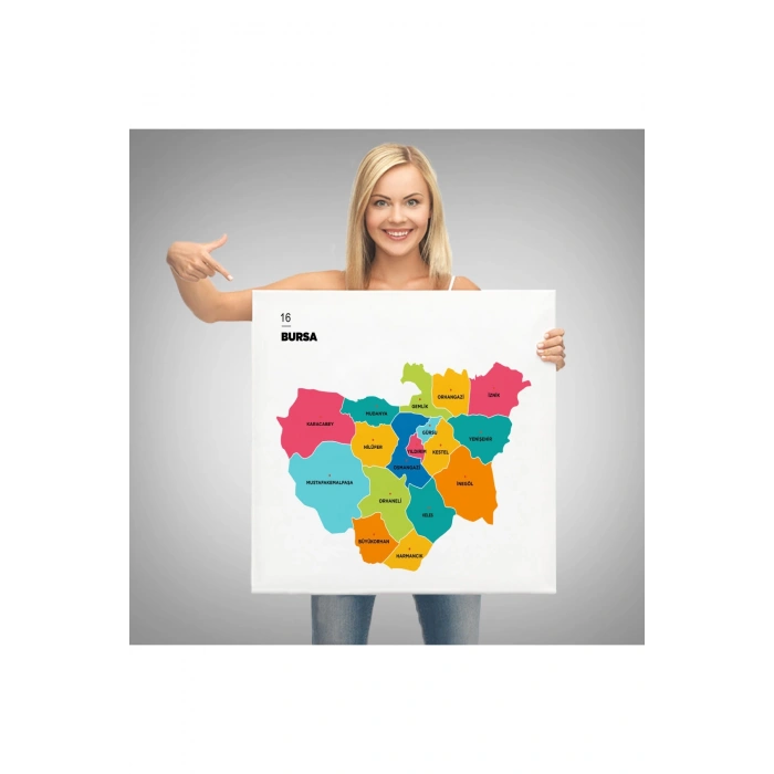 Bursa  İli ve İlçeler Haritası  Dekoratif Kanvas Tablo 1306