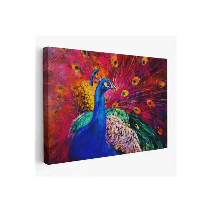 Çok Renkli Tavus Kuşu Modern Sanat Kanvas Duvar Tablosu-1112