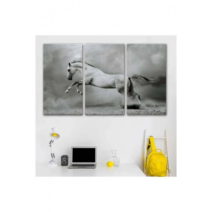 Çöldeki  Beyaz At Tablosu-6598