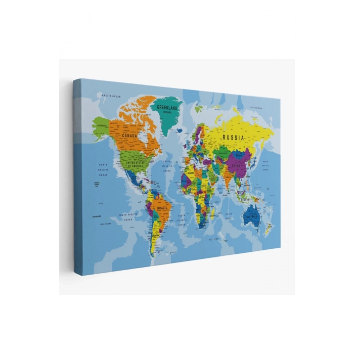Detaylı Dünya Haritası Kanvas Tablo 1019