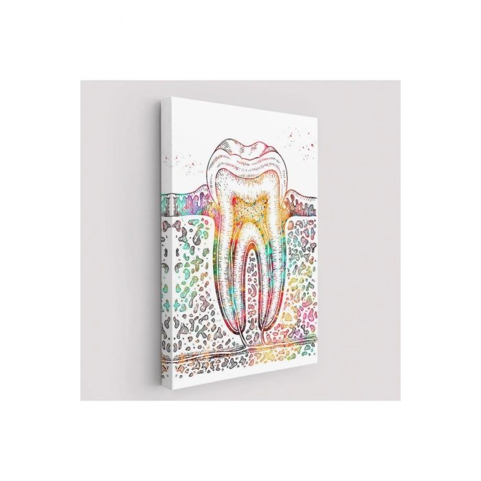 Diş Diyagramı Tablosu-6480