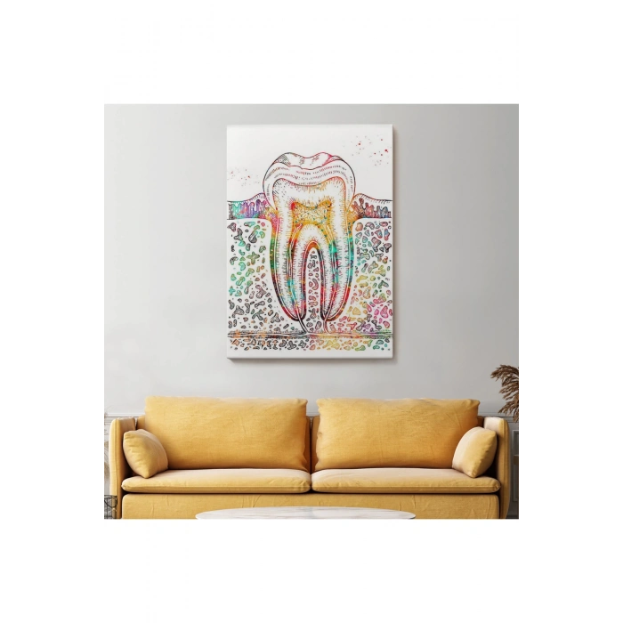 Diş Diyagramı Tablosu-6480