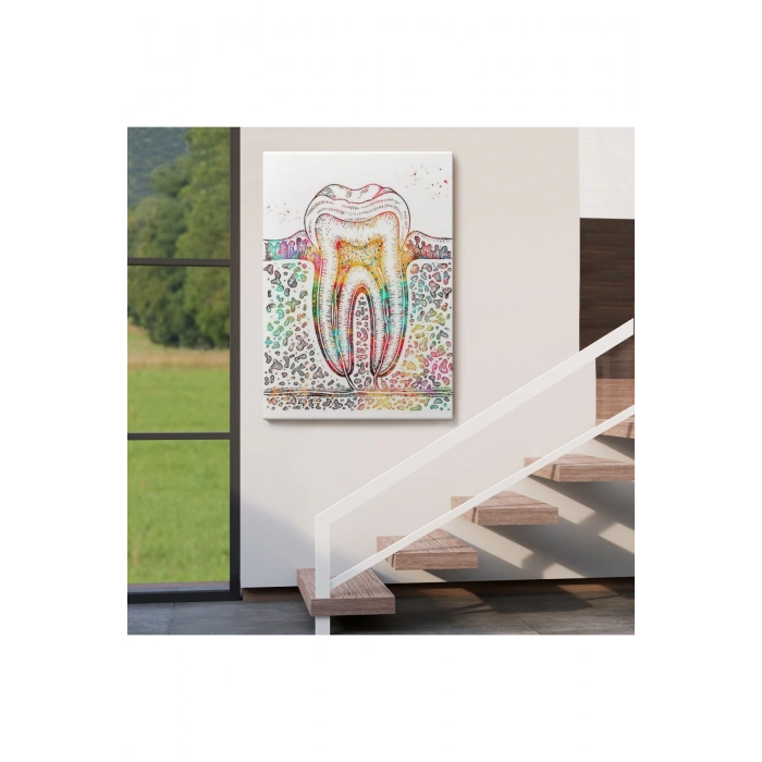 Diş Diyagramı Tablosu-6480