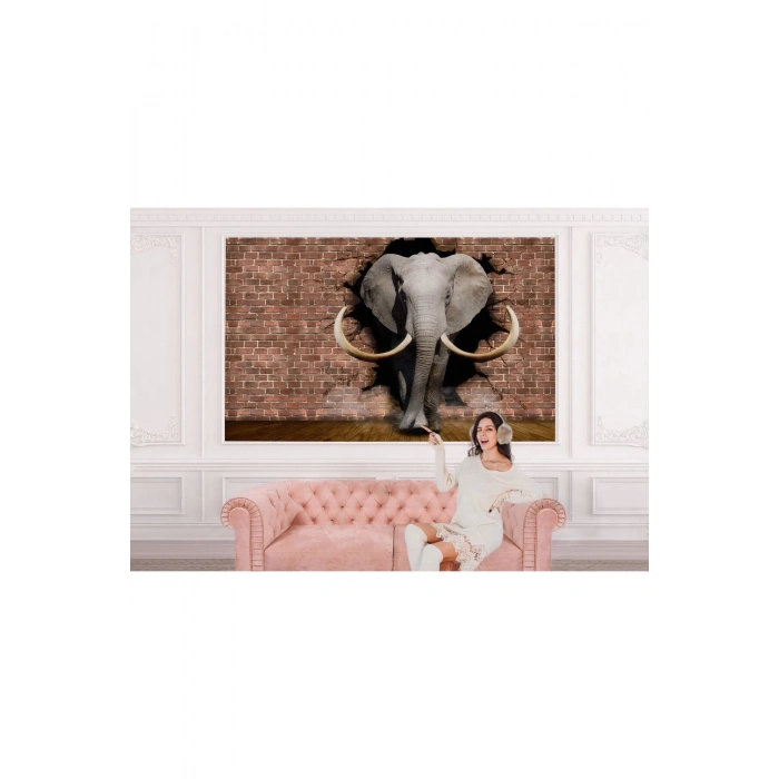 Duvardan Çıkan Fil Duvar Kağıdı-5609