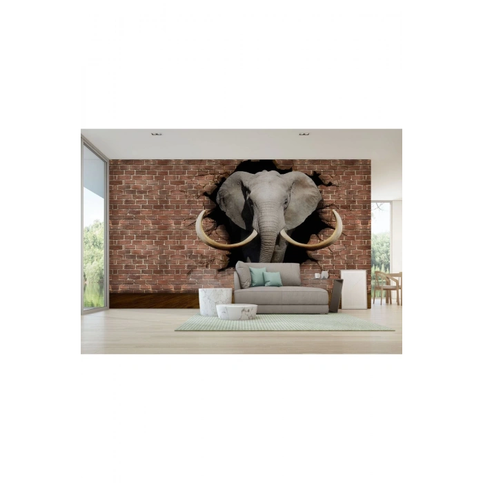Duvardan Çıkan Fil Duvar Kağıdı-5609