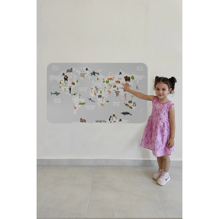 Eğitici Dünya Haritası Dünya Atlası Çocuk ve Bebek Odası Duvar Sticker-60x105-3790