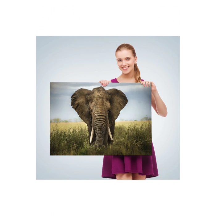 Fil Dekoratif Kanvas Tablo 1121