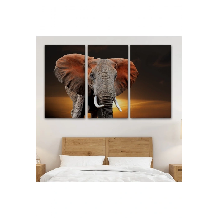 Fil Dekoratif Kanvas Tablo 1167