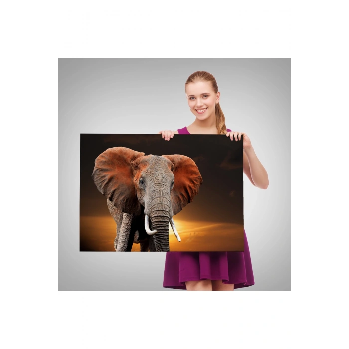 Fil Dekoratif Kanvas Tablo 1167