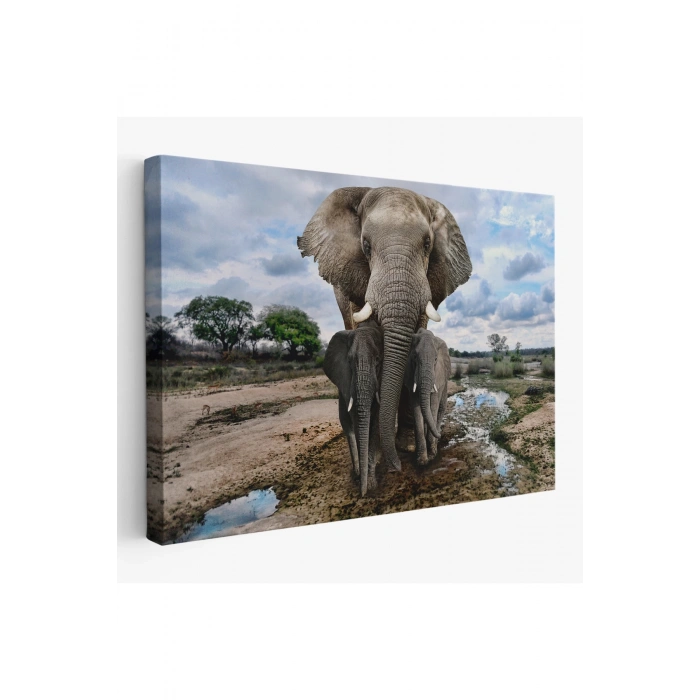 Fil ve Yavruları Dekoratif Kanvas Tablo 1134