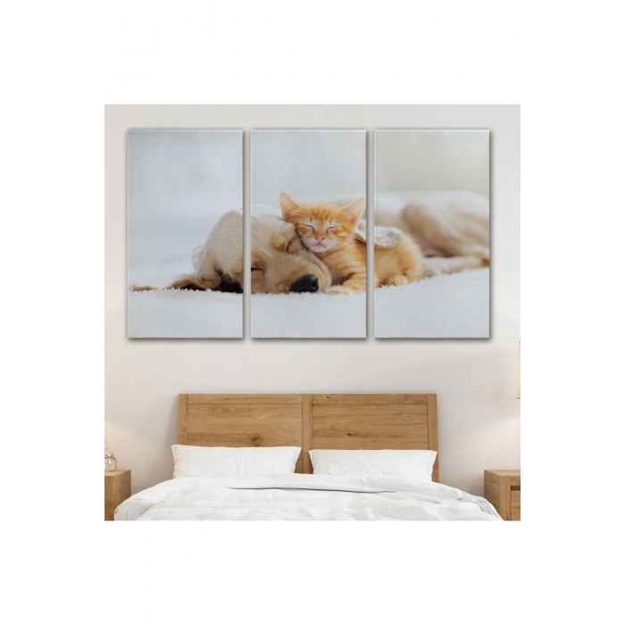 Golden Köpek İle Uyuyan Yavru Kedi Dekoratif Kanvas Tablo 1176